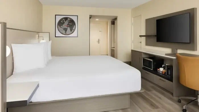  One King Bed Luxury Suite